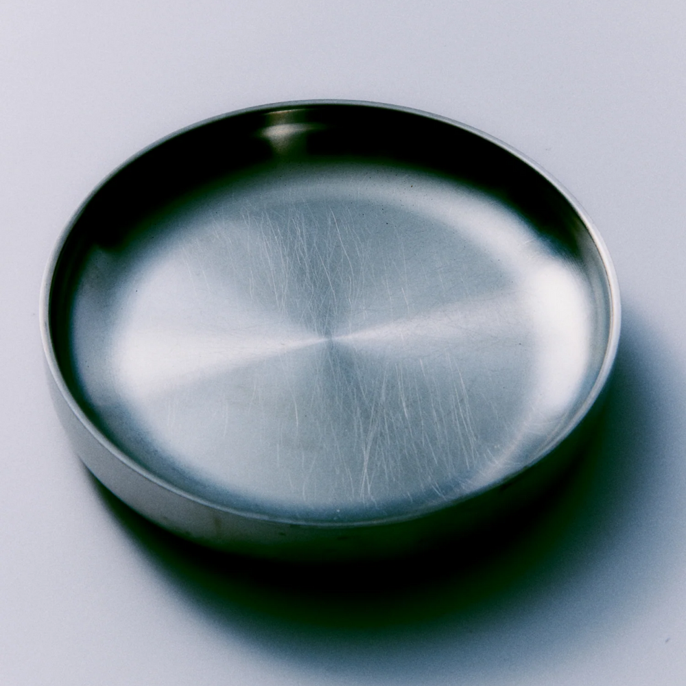 Stainless Steel Pasta Plate Set of 2