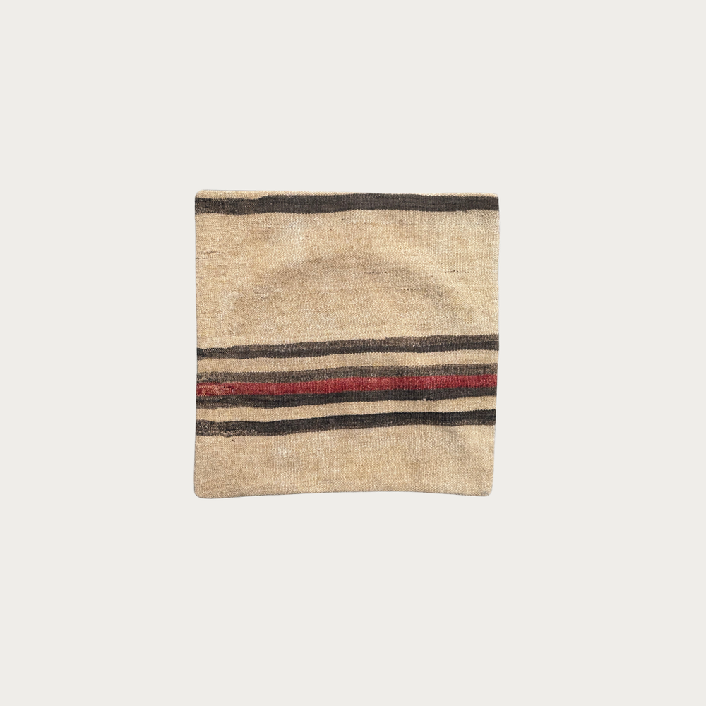 Cushion Cover #4