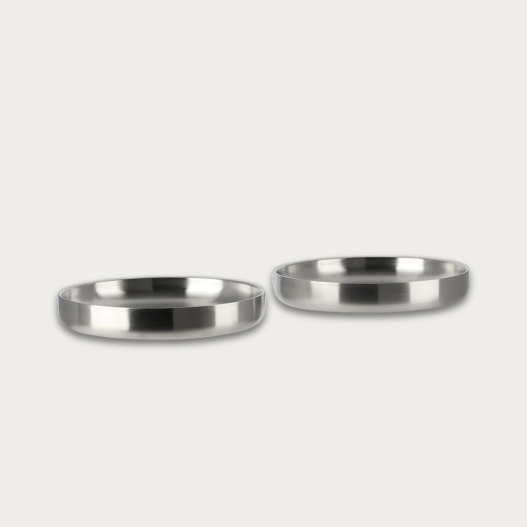 Stainless Steel Pasta Plate Set of 2 - image 1