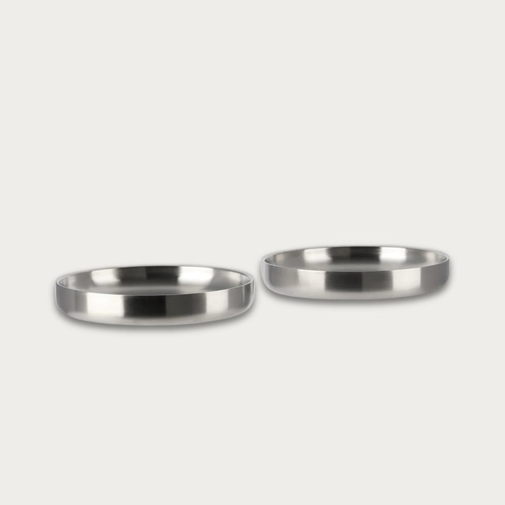 Stainless Steel Pasta Plate Set of 2