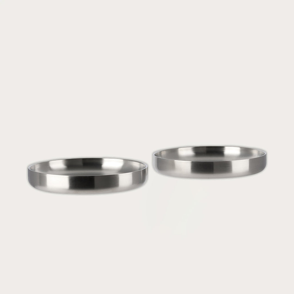 Stainless Steel Pasta Plate Set of 2