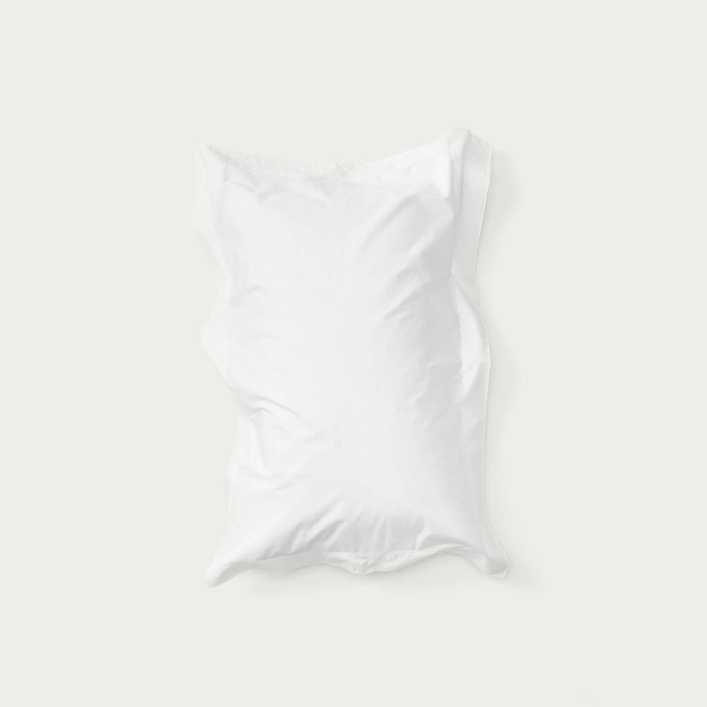 Standard Pillow Pair in Prism